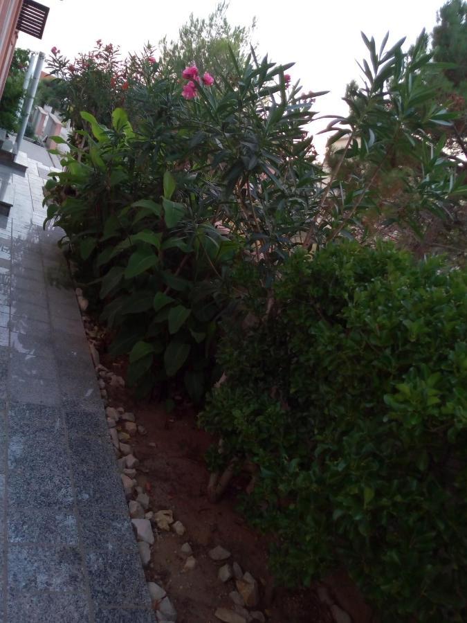 Maslina Apartment Vir Ngoại thất bức ảnh